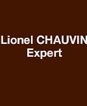 Lionel CHAUVIN Expert image 1