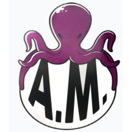 A.M Centro Assistenza Telefonia Ed Elettronica Di Lo Re Andrea Bagheria logo