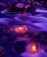 Brigitte S. Weber Bild 4