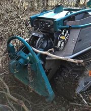 Arbres en Cimes image 4