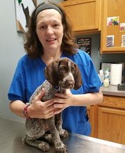 Wayne Heights Animal Hospital image 17