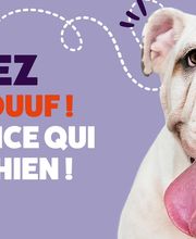 HORIZON STUDIO DE CREATION image 3