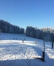 Ferme-Restaurant Pierreberg Bild 12