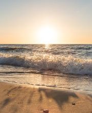 Pension Zur Eiche Bild 2