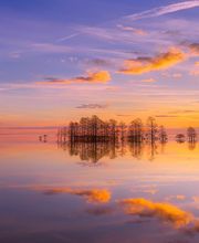 Pascale Renneteau EI image 5