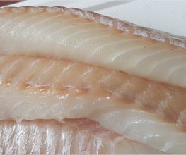 Profish image 7