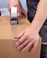 All Moves Are Us image 19