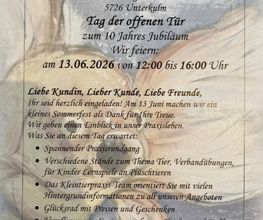 Kleintierpraxis Immoos Bild 2