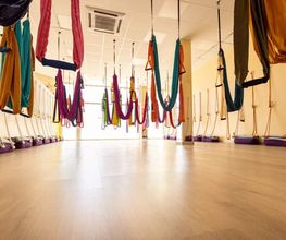 231073735-1-ol4DkVeOgK1777312786780.jpeg