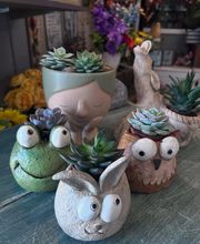 Brownsburg Flower Shop image 8