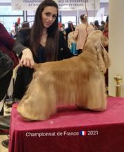 Indiana Dog image 15