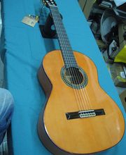 proffonic-guitarra-04.jpg
