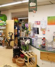 Gamm Vert - Saint Christophe Vallon image 8