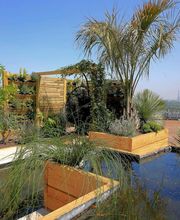 La vie en Vert image 5