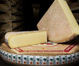 Fromageries Brun SA image 1
