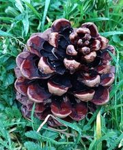 360sierraguadarrama imagen 1