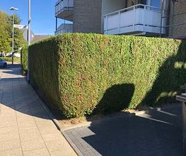 Hausmeisterservice K+K Bild 1