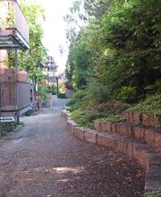 Widler Gartenbau GmbH Bild 5