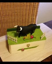 Michael Kugler Bild 7