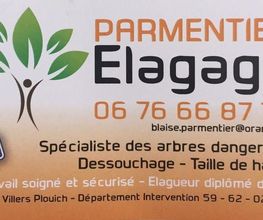 Parmentier Elagage image 10