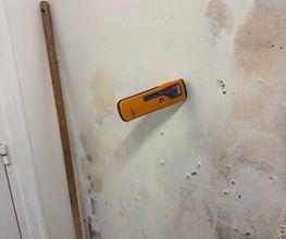 SPRS image 11