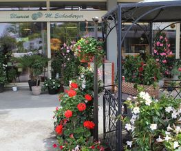 Blumen Eichenberger Horgen Bild 6