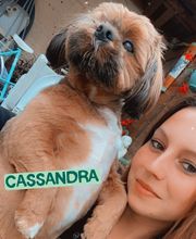 Tom&Co Denain image 3