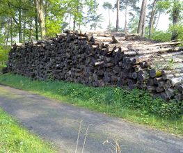 Brennholz-Marl.de Bild 7
