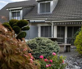 Bruno Preite Gartengestaltung und Gartenpflege - Ihr Gartenbauer im Limmattal, im Aargau & Zürich. Bild 8