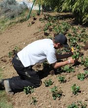 Tim Schmid Paysages Bild 7