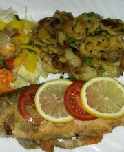 Schorfheider Fischexpress Bild 4