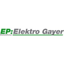 EP:Elektro Gayer