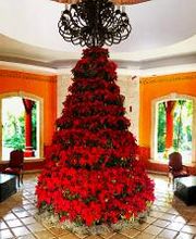 Occidental Cozumel imagen 8