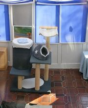 Pfötchen-Date Bild 5