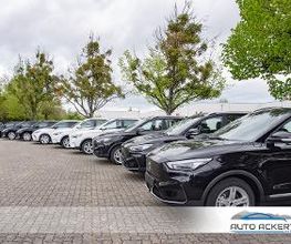 Auto Ackert GmbH MG Store Bild 10