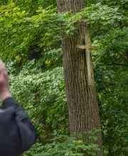 FriedWald Ostfriesland Bild 8