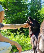 Der Gassi-Guy Bild 9