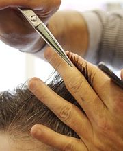 Metamorphose Totale Tendance image 2