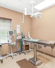 State Road Animal Hospital image 8