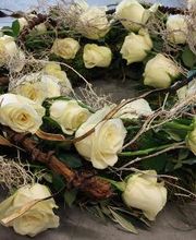 Blumen Dahlmann Bild 19