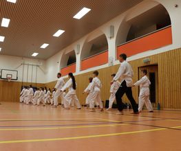 Karate-Teens