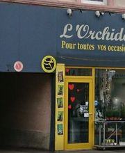 L'Orchidée image 5