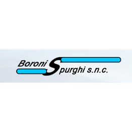 Boroni Spurghi Fognature logo