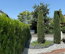 Daily Gartenpflege Bild 13