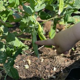 Die Waldwichtel - Kindertagespflege Claudia Gruschwitz