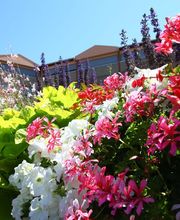 Les Terrasses De Borda image 10