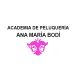 academiaanamariabodilogo.jpg