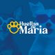 Logotipo de Huellas de María, guardería canina y alojamiento para perros, con una huella amarilla en forma de corazón y tipografía blanca sobre fondo azul. La imagen incluye dos perros con gafas, transmitiendo cuidado, confianza y diversión.