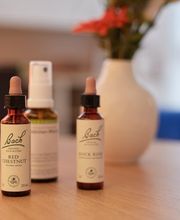 Praxis für Gesundheit | Craniosacral Therapie und Naturheilkunde TEN | Wohlgenannt Isabelle Bild 5