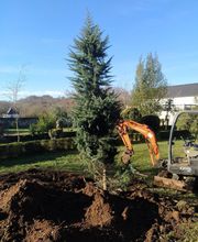 Romazzotti Loïc image 1